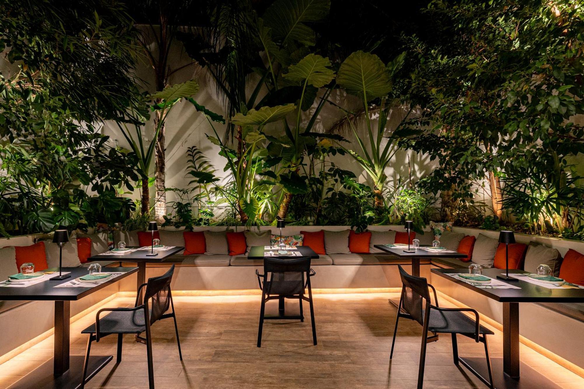 Ivis 4 Boutique Hotel 아테네 외부 사진